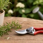 Bypass-Gartenschere auf Holztisch neben Kräutertopf